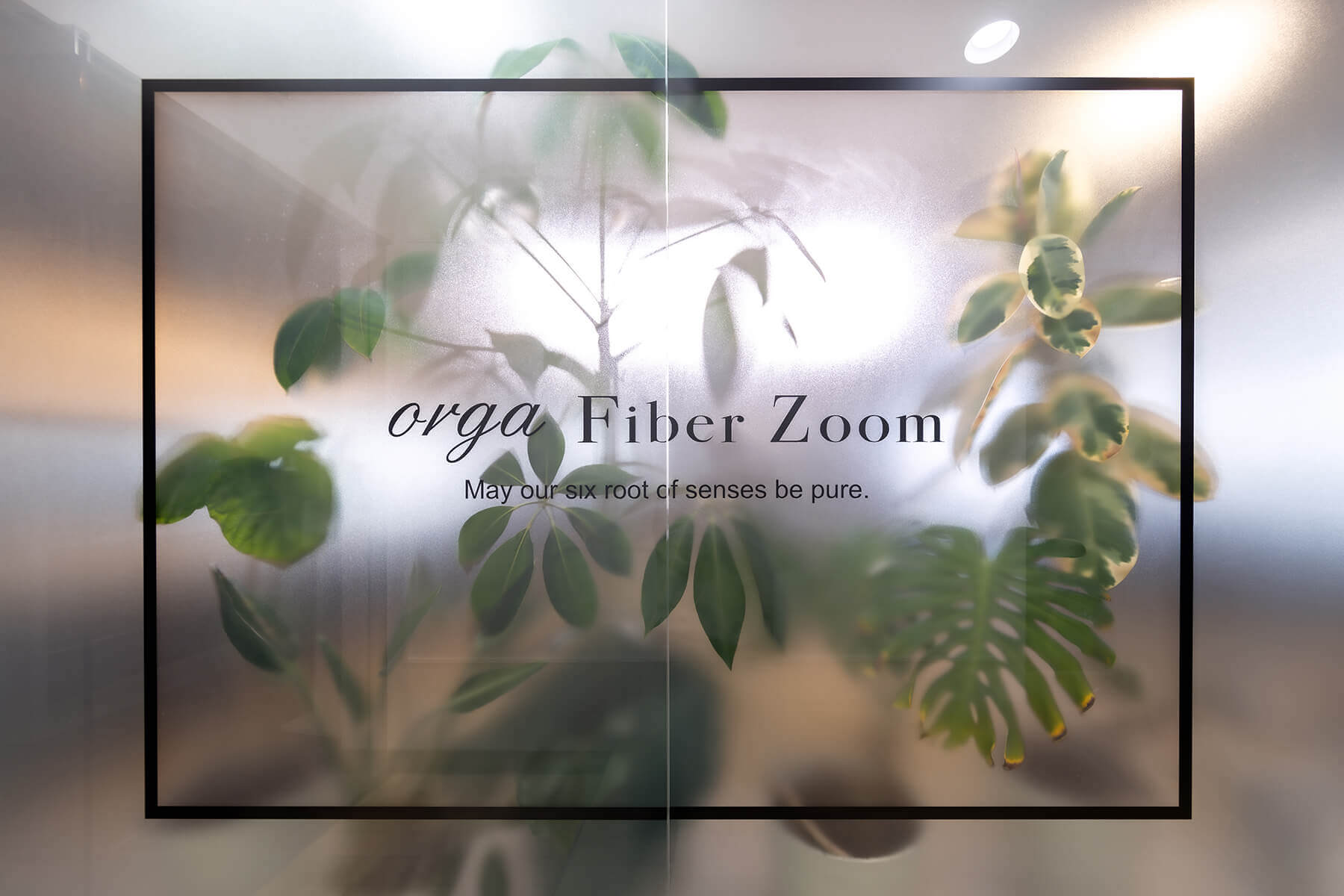 Orga Fiber Zoom 心斎橋／Osaka